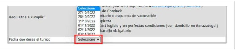 solicitar fecha turno carnet conducir