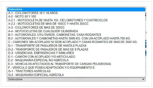 solicitar turno para carnet conducir  