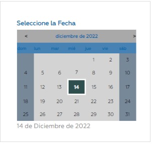 fecha turno carnet conducir lomas