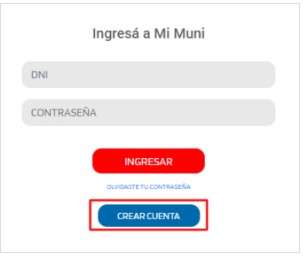 sacar turno carnet conducir pilar
