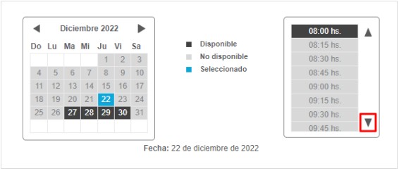 calendario turno carnet conducir san miguel