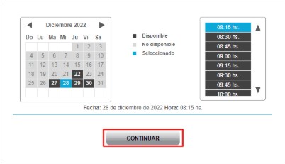 seleccionar turno carnet conducir